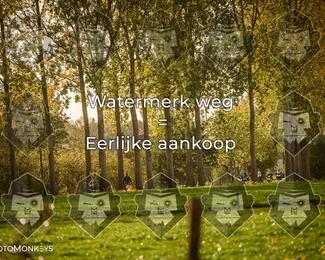 Foto's Herfstrit Moerzeke | Hartrijders 25-10-2026 photo