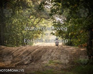 Foto's Offroad Rit Eindhoven/ KTM-Dag 03-10-2026 | Zaterdag photo