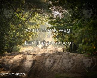 Foto's Offroad Rit Eindhoven/ KTM-Dag 03-10-2026 | Zaterdag photo