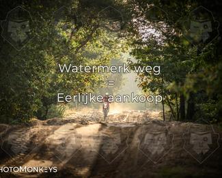 Foto's Offroad Rit Eindhoven/ KTM-Dag 03-10-2026 | Zaterdag photo