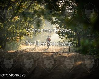 Foto's Offroad Rit Eindhoven/ KTM-Dag 04-10-2026 | Zondag photo