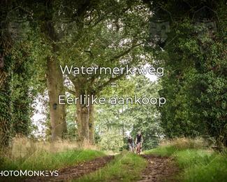 Foto's Route du Nord 13-09-2026 | Mountainbike & Gravel photo