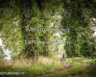 Foto's Route du Nord 13-09-2026 | Mountainbike & Gravel photo