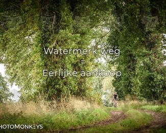 Foto's Route du Nord 13-09-2026 | Mountainbike & Gravel photo