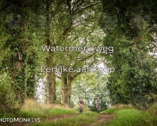Foto's Route du Nord 13-09-2026 | Mountainbike & Gravel photo