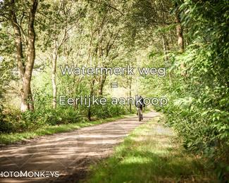Foto's Veldslag 05-09-2026 | Mountainbike & Gravel photo