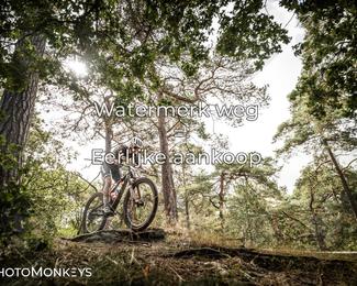 Foto's Veldslag 05-09-2026 | Mountainbike & Gravel photo