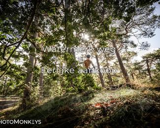 Foto's Veldslag 05-09-2026 | Mountainbike & Gravel photo