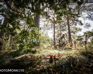 Foto's Veldslag 05-09-2026 | Mountainbike & Gravel photo