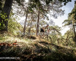 Foto's Veldslag 05-09-2026 | Mountainbike & Gravel photo