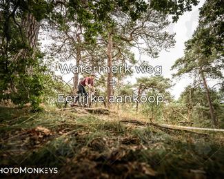Foto's Veldslag 05-09-2026 | Mountainbike & Gravel photo