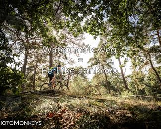Foto's Veldslag 05-09-2026 | Mountainbike & Gravel photo