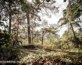 Foto's Veldslag 05-09-2026 | Mountainbike & Gravel photo