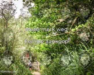 Foto's Hel van Harkema 04-07-2026 | Mountainbike & Gravel photo