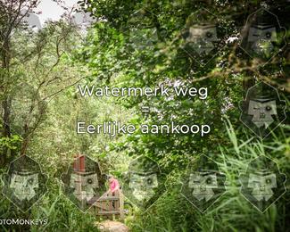 Foto's Hel van Harkema 04-07-2026 | Mountainbike & Gravel photo