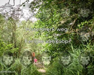 Foto's Hel van Harkema 04-07-2026 | Mountainbike & Gravel photo
