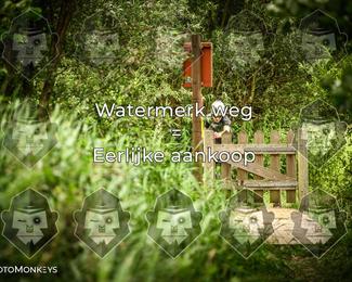 Foto's Hel van Harkema 04-07-2026 | Mountainbike & Gravel photo