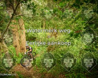 Foto's Hel van Harkema 04-07-2026 | Mountainbike & Gravel photo