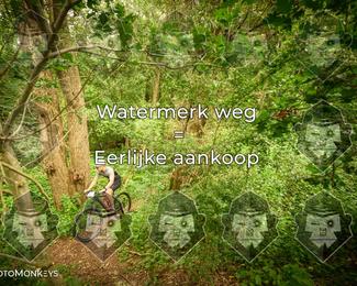 Foto's Hel van Harkema 04-07-2026 | Mountainbike & Gravel photo