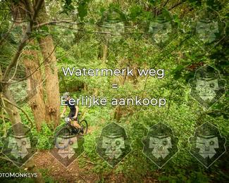 Foto's Hel van Harkema 04-07-2026 | Mountainbike & Gravel photo