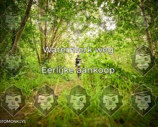 Foto's Hel van Harkema 04-07-2026 | Mountainbike & Gravel photo