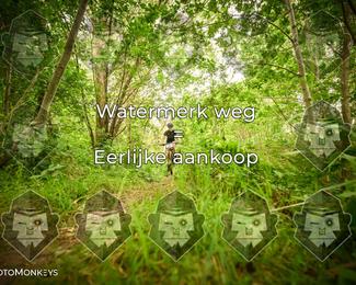Foto's Hel van Harkema 04-07-2026 | Mountainbike & Gravel photo