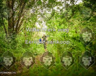 Foto's Hel van Harkema 04-07-2026 | Mountainbike & Gravel photo