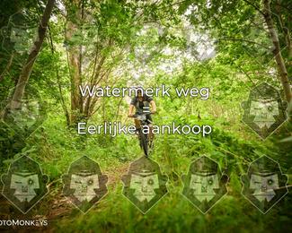 Foto's Hel van Harkema 04-07-2026 | Mountainbike & Gravel photo