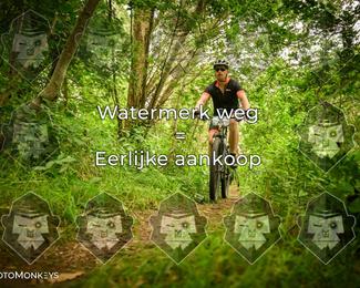 Foto's Hel van Harkema 04-07-2026 | Mountainbike & Gravel photo