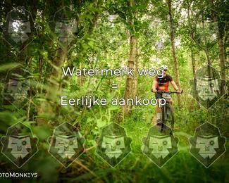 Foto's Hel van Harkema 04-07-2026 | Mountainbike & Gravel photo