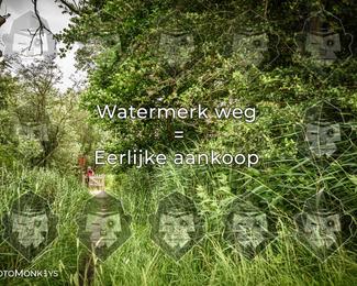 Foto's Hel van Harkema 04-07-2026 | Mountainbike & Gravel photo