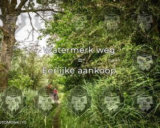 Foto's Hel van Harkema 04-07-2026 | Mountainbike & Gravel photo