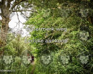 Foto's Hel van Harkema 04-07-2026 | Mountainbike & Gravel photo