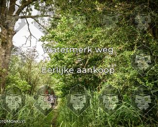 Foto's Hel van Harkema 04-07-2026 | Mountainbike & Gravel photo