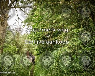 Foto's Hel van Harkema 04-07-2026 | Mountainbike & Gravel photo