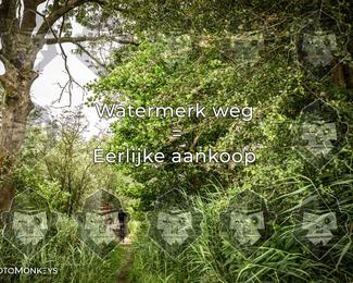 Foto's Hel van Harkema 04-07-2026 | Mountainbike & Gravel photo