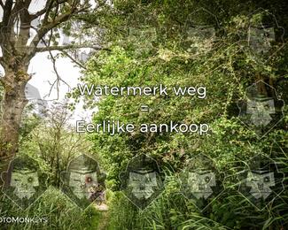 Foto's Hel van Harkema 04-07-2026 | Mountainbike & Gravel photo