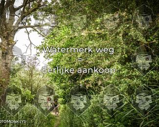 Foto's Hel van Harkema 04-07-2026 | Mountainbike & Gravel photo