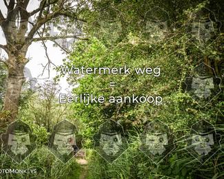 Foto's Hel van Harkema 04-07-2026 | Mountainbike & Gravel photo
