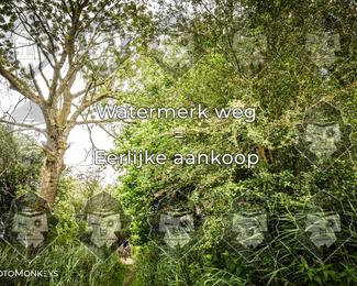 Foto's Hel van Harkema 04-07-2026 | Mountainbike & Gravel photo