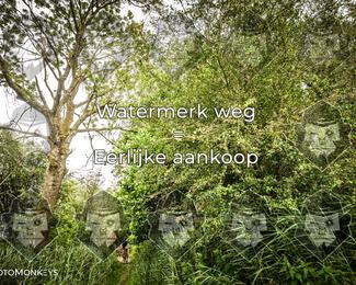 Foto's Hel van Harkema 04-07-2026 | Mountainbike & Gravel photo