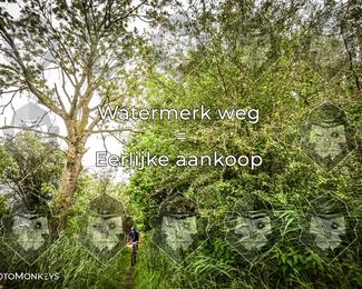Foto's Hel van Harkema 04-07-2026 | Mountainbike & Gravel photo