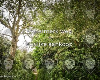 Foto's Hel van Harkema 04-07-2026 | Mountainbike & Gravel photo