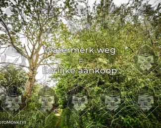Foto's Hel van Harkema 04-07-2026 | Mountainbike & Gravel photo