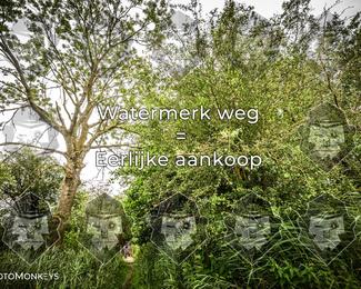 Foto's Hel van Harkema 04-07-2026 | Mountainbike & Gravel photo