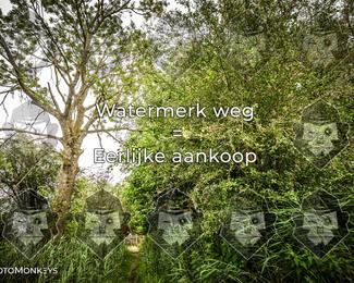 Foto's Hel van Harkema 04-07-2026 | Mountainbike & Gravel photo