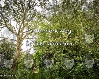 Foto's Hel van Harkema 04-07-2026 | Mountainbike & Gravel photo