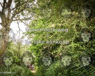 Foto's Hel van Harkema 04-07-2026 | Mountainbike & Gravel photo