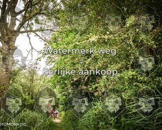 Foto's Hel van Harkema 04-07-2026 | Mountainbike & Gravel photo