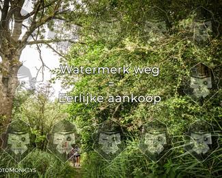 Foto's Hel van Harkema 04-07-2026 | Mountainbike & Gravel photo